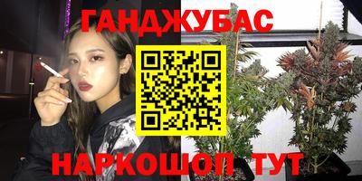 крисы Шахты