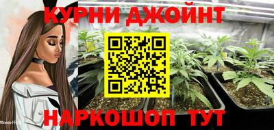 крисы Шахты